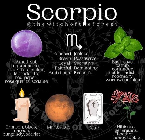 Scorpio Witch, Scorpio Crystals, Witch Notes, October Scorpio, Scorpio Sun Sign, Lunar Witch, Zodiac Sign Scorpio, Astrology Scorpio, Chart Astrology