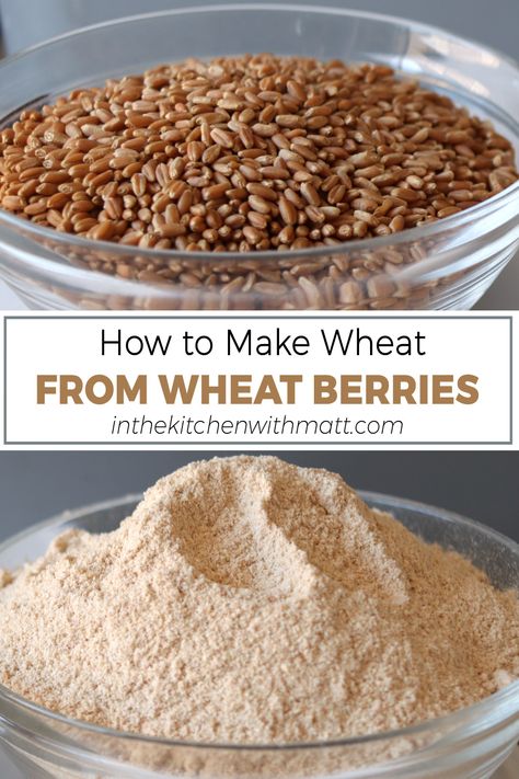 Bowl of wheat berries above a bowl of freshly ground whole wheat flour. Wheat Berry Recipes, Rye Berries, Dairy Free Dips, Homemade Chocolate Truffles, Cream Of Wheat, Wheat Berries, Small Desserts, How To Make Bread, Food App