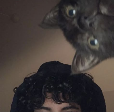 Men With Cats, ماثيو ماكونهي, Black Hair Boy, Dark Curly Hair, Black Hair Blue Eyes, Instagram Profile Picture Ideas, Boy Cat, Boys With Curly Hair, Pics Ideas