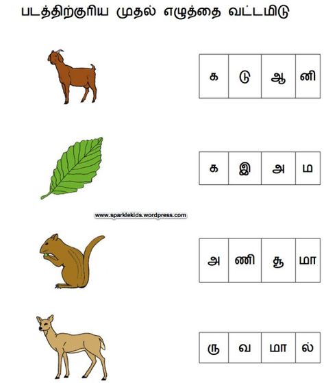 Sample Tamil worksheets – Sparklekids Handwriting Worksheets For Kindergarten, Sequencing Activities Kindergarten, Color Worksheets For Preschool, Worksheets For Class 1, Spelling For Kids, Kindergarten Phonics Worksheets, All About Me Preschool, Writing Practice Worksheets, Math Charts