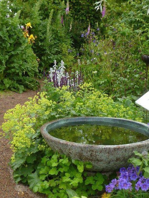 Round Water Feature, Budget Friendly Garden, Tudor Garden, Trellis Fence, Arbors Trellis, Small Water Features, Wild Garden, Exterior Renovation, Walled Garden