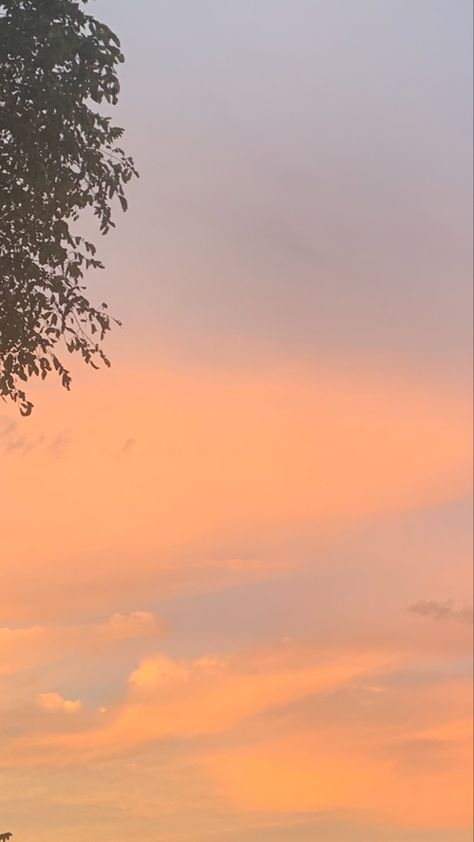 a pink and orange sunset with light wispy clouds and a dark green tree off to the side Backgroud Astetic, Aesthetic Yellow Background Landscape, Cow Sunset Wallpaper, Astetic Pics, Clouds Aesthetic Sunset, Pretty Sunsets Aesthetic Clouds, Sunset Cloud Aesthetic, Pretty Skies, Social Art