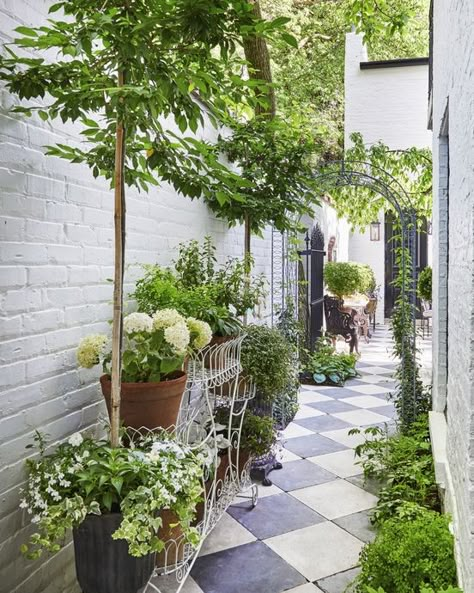 Summer Thornton Chicago Townhouse House Tour Garden Victorian Terrace Yard, Victorian Yard Ideas, Side Return Garden, Chicago Townhouse, Summer Thornton, Garden Scapes, Alley Way, Townhouse Garden, Narrow Garden