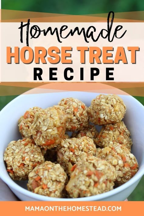 Applesauce Horse Treats, Carrot Horse Treats, Baked Horse Treats, Sheep Treats Homemade, Horse Treats Recipe Easy No Bake, Diy Horse Snacks, Easy Horse Treats, No Bake Horse Treats, Diy Horse Treats