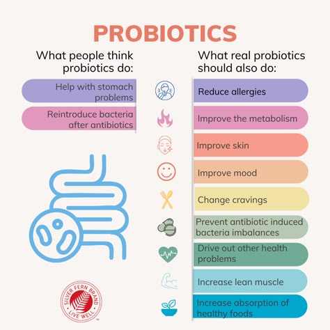 Probiotic Benefits, Probiotic Drinks, Natural Probiotics, Best Probiotic, Health Guru, Digestive Issues, Probiotic Foods, Silver Fern, Probiotics Supplement