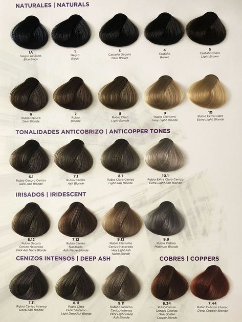 Schwarzkopf Hair Color Chart, Loreal Hair Color Chart, Choosing Hair Color, Hair Color Names, Schwarzkopf Hair Color, Natural Brown Hair, Curly Hair Trends, Ash Hair Color, Pin Search