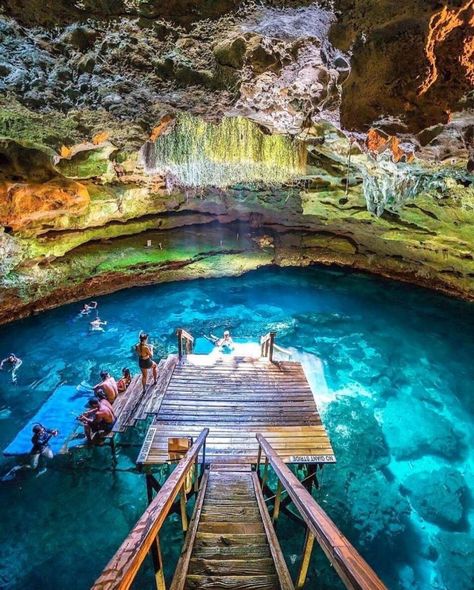 Williston Florida, Devils Den, Florida Springs, Natural Spring, Love Background Images, Travel Channel, Swimming Holes, Spring Nature, Travel Nature