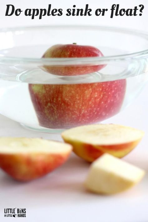 apple sink float science experiment with apple floating in bowl of water? In this fall science experiment for kids they will learn if apples sink or float. This is one of those apple science experiments that they might even enjoying eating when you are done. This will be one of those fun science experiments at home that the whole family can take part in. Add this to your STEM activities as well by turning this activity into math! #fallscienceexperiement #scienceexperiments #stem #steam Apple Stem Activities, Kindergarten Apples, Preschool Apples, Apple Lesson Plans, Apple Science Experiments, Apple Science, Preschool Apple Theme, Apple Kindergarten, Science Experience