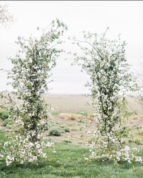 Wallpaper Backdrop Wedding, Ivy Wedding Decor, Ceremony Flowers Altar, Wedding Ceremony Backdrop Ideas, Half Moon Wedding Arch, White Wedding Ideas, Green And White Wedding, Wedding Arbors, Floral Archway