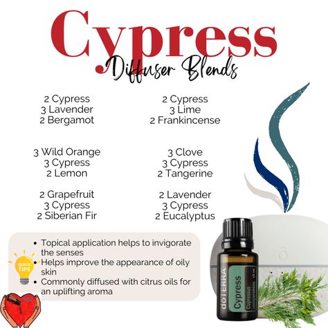 Doterra Cypress Diffuser Blends, Cypress Diffuser Blends, Summer Diffuser Blends, Cupressus Sempervirens, Doterra Diffuser, Doterra Oil, Doterra Diffuser Blends, Ayurvedic Healing, Clean Lifestyle