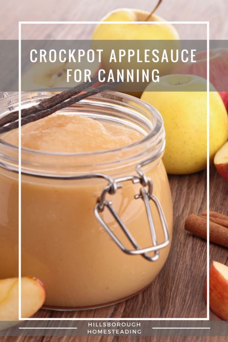 crockpot applesauce for canning Baby Food Storage Ideas, Applesauce For Canning, Baby Food Homemade, Crockpot Applesauce Recipe, October Recipes, Food Storage Ideas, Canning Applesauce, Canned Applesauce, Canning Apples