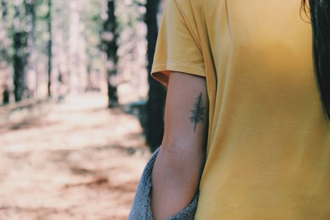 Pine tree inner arm tattoo More Back Of Arm Tree Tattoo, Pine Tree Tattoo Placement, Tree Tattoo Back Of Arm, Arm Tree Tattoo, Tree Tattoo Arm, Inner Arm Tattoos, Tattoo Tree, Inner Arm Tattoo, Pine Tree Tattoo