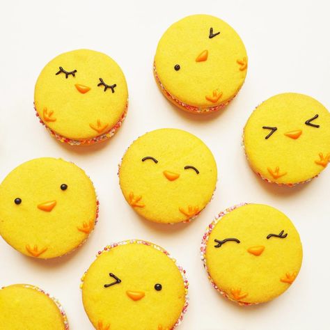 Cheese Tart Decoration, Bird Cake Ideas, Easter Chicks Cookies, Chick Cookies, Refrigerated Cookie Dough, Cookie Sandwich Recipes, Cream Of Asparagus Soup, Easter Party Food, Iloilo City