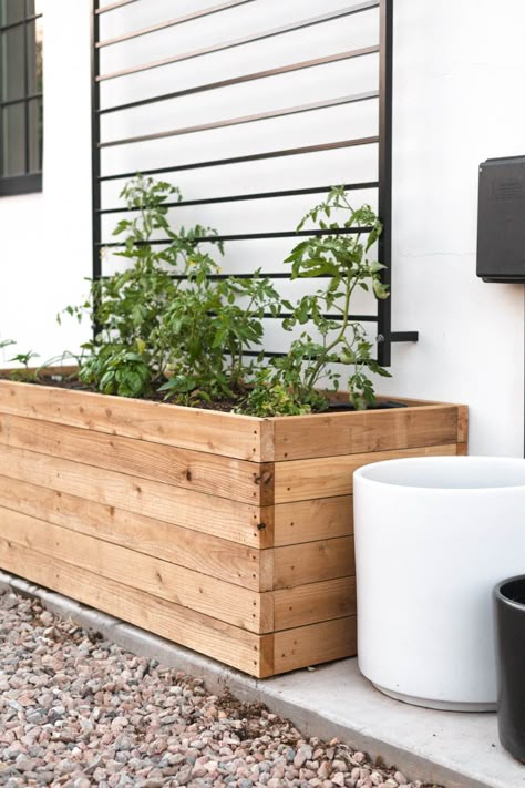 Diy Raised Beds Garden, Planter Boxes Backyard, Garden Boxes Around Deck, Diy Cedar Garden Boxes, Cedar Plank Planter Boxes, Build A Planter Box Easy Diy Wood, Large Cedar Planter Boxes, Above Ground Planter Boxes, Planter Box Design Ideas