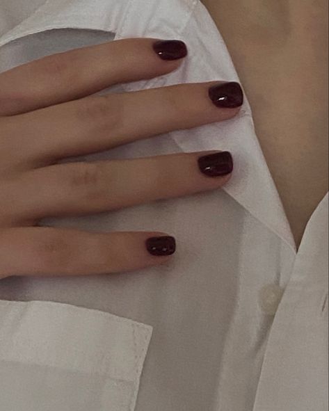 Dark Red Nails Gel Short, Dark Red Painted Nails, Dark Wine Nails Short, Dark Cherry Red Nails Short, Red Short Nails Aesthetic, Short Red Wine Nails, Dark Academia Short Nails, Best Colours For Short Nails, Grunge Nail Colors