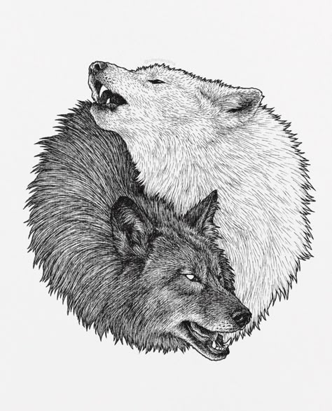 White And Black Wolf Tattoo, Yin Yang Wolves, Ying Yang Wolf Tattoo, Two Wolf Tattoo, Snarling Wolf Tattoo, Wolf Yin Yang Tattoo, Ying Yang Wolf, Tattoo Ideas Wolf, Wolf Yin Yang