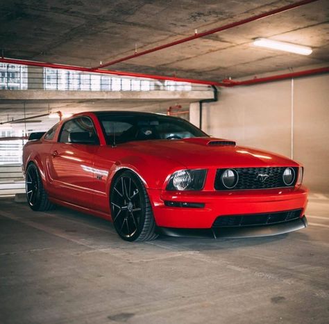 2005 Mustang Gt, Fort Mustang, Mustang 2007, 2007 Mustang, Mustang 2006, Mustang 2008, 2005 Mustang, 2007 Ford Mustang, Mustang 2005