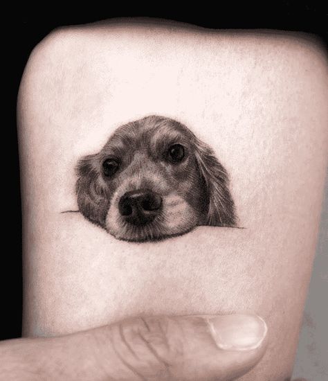 Dog Tattoo Design Images (Dog Ink Design Ideas) Small Pet Portrait Tattoo, Dog Memorial Tattoo Ideas, Nose Tattoo Ideas, Tattoo Dog Ideas, Dog Nose Tattoo, Charlie Tattoo, Dog Tattoo Ideas Memorial, Dog Tattoo Design, Nose Tattoo