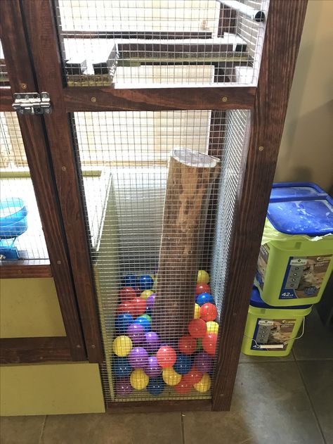 Pet Raccoon playground and Ball pit with natural cedar log post. Indoor Raccoon Enclosure, Raccoon Cage Ideas, Raccoon Enclosure Ideas, Pet Raccoon Enclosure, Raccoon Enclosure, Raccoon House Diy, Diy Pet Raccoon Cage, Raccoon Habitat, Outdoor Raccoon Enclosure