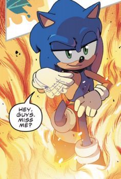 Sonic The Hedgehog Pfp, Human Sonic, Hedgehog Pfp, Sonic 06, Silly Goober, Sonic Funny, Sonic Fan Characters, Sonic 3, Sonic Franchise