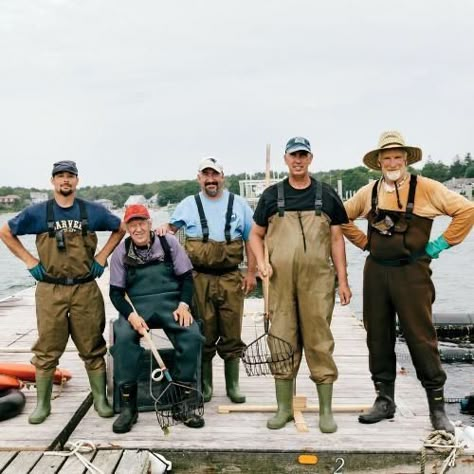 Crab Farming, Oyster Farming, Farm Marketing, Cd Project, Cape Cod Massachusetts, Fishing Pictures, Oyster Bay, Old Bay, Sea Dragon