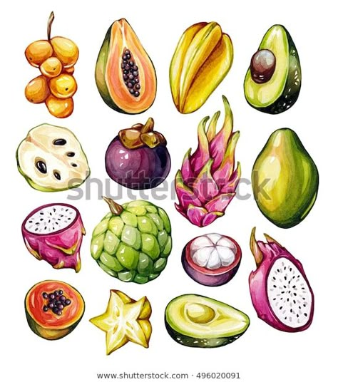 Fruit Drawing Ideas, Drawing Ideas Food, Drawing Fruit, Dragon Fruit Pitaya, Fruit Sketch, Fruit Drawing, Drawing Dragon, Fruit Du Dragon, Fruits Drawing