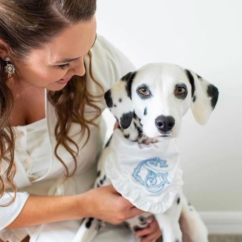 Shuler Studio on Instagram: “Here's a bright spot (or a few) for your day!⁠ ⁠ This beautiful Dalmatian didn't miss out on the monogram action at her mom and dad's big…” Bandana Style, Pink Seersucker, She Said Yes, Bandana Styles, Wedding Monogram, Embroidered Monogram, Dog Bandanas, Grown Ups, Monogram Wedding