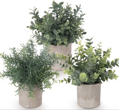 Potted Plants Indoor, Fake Potted Plants, Rosemary Plant, Plants For Home, Fake Succulents, Plastic Plant Pots, Artificial Potted Plants, Mini Succulents, Small Potted Plants