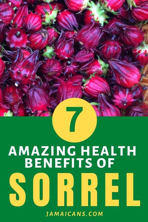 7 Amazing Health Benefits Of Sorrel - Jamaicans.com Sorrel Benefits Health, Sorrel Tea Recipe, Sorrel Benefits, Benefits Of Sorrel, Sorrel Juice, Yang Deficiency, Sorrel Recipe, Jujube Tea, Jamaican Fruit Cake