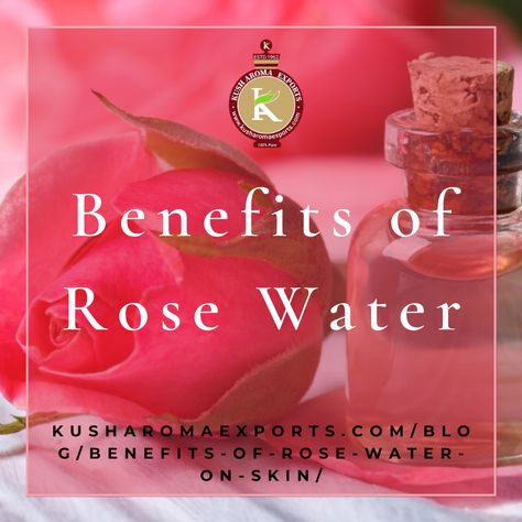 Uses Of Rose Water, Water On Skin, Uses For Rose Water, Water Benefits For Skin, Benefits Of Rose Water, Rose Water For Skin, Rose Water Benefits, Roses Petals, Fresh Rose Petals