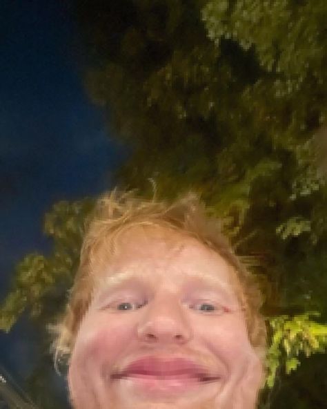 Ed Sheeran Pfp, Ed Sheeran Funny Picture, Ginger Pfp, Ed Sheeran Tattoo, Weird Pics To Airdrop, Cherry Seaborn, Ed Sheeran Memes, Ed Sheeran Love, Biological Father