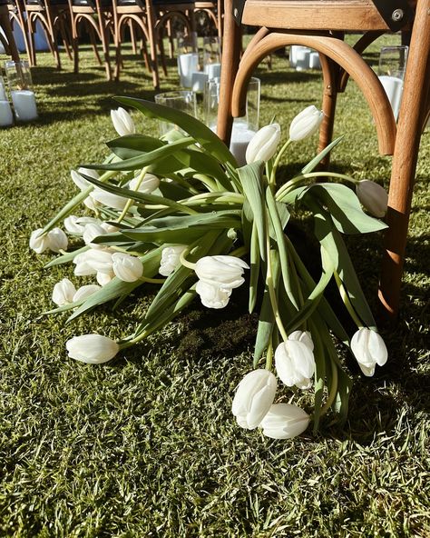 The tulip mound 🌷🌿 I personally LOVE a droopy tulip but I know others have a very different opinion 😂 How do you feel about them? #riverbank #riverbankestate @riverbankestate_weddings #swanvalley #swanvalleywedding #tulips Tulips Wedding Bouquet, Wedding Tulips, Tulips Wedding, White Tulip Bouquet, Tulip Wedding, Tulip Bouquet, White Tulips, Tulips Flowers, Flower Bouquet Wedding