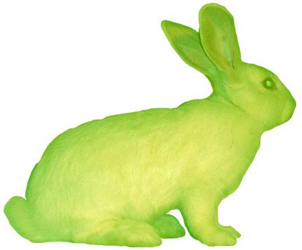 An oldie but goodie: Meet Alba, a transgenic bunny that fluoresced green (when exposed to uv light … okay, not exactly glow in the dark – but close enough) thanks to a jellyfish gene for Green Fluorescent Protein (GFP). Alba was genetically engineered by Eduardo Kac in 2000: Oryx And Crake, Raising Rabbits, Slime Mould, Genetic Engineering, Bio Art, Art Appliqué, Art Plastique, Medium Art, Trees To Plant