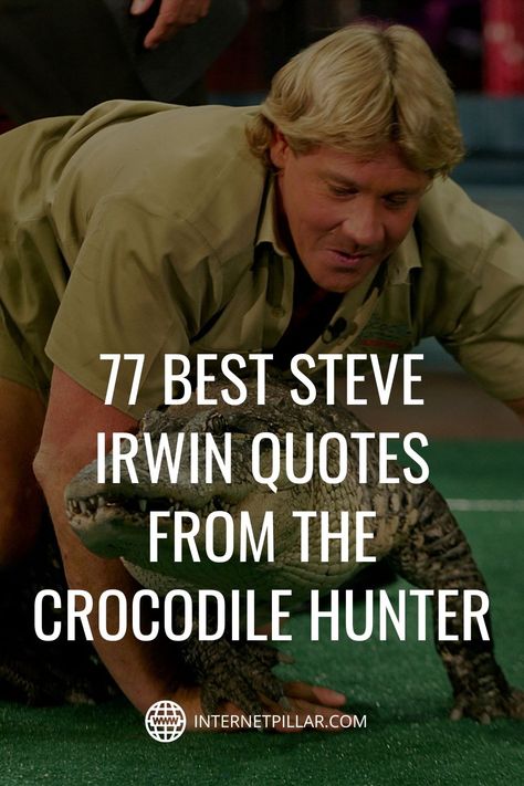 77 Best Steve Irwin Quotes from The Crocodile Hunter - #quotes #bestquotes #dailyquotes #sayings #captions #famousquotes #deepquotes #powerfulquotes #lifequotes #inspiration #motivation #internetpillar Steve Irwin Quotes, Crocodile Quotes, Alligator Quotes, Wildlife Quotes, Hunter Quotes, Venomous Snake, Crocodile Hunter, Seeing Quotes, Steve Irwin