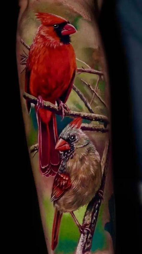 Cardinal Bird Tattoos, Red Cardinal Tattoos, Realistic Bird Tattoo, Small Cardinal Tattoo, Red Bird Tattoos, Cardinal Tattoo, Cardinal Tattoos, Sunflower Tattoo Shoulder