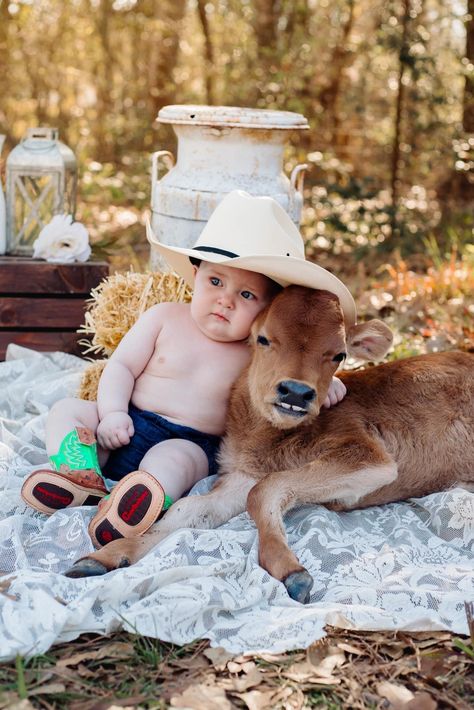 Rodeo First Birthday Pictures, Farm 1st Birthday Photoshoot, 1st Birthday Pictures With Calf, 1st Birthday Cowboy Photo Shoot, 6 Month Cowboy Photoshoot, Cowboy Photoshoot Baby Boy, Baby Boy Cowboy Photoshoot, Country One Year Old Photo Shoot, Newborn Pictures With Cows