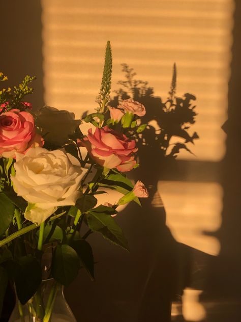 Golden hour and pink and white roses in a vase Golden Hour Aesthetic, Light Pink Rose, Pink Room, Golden Girl, Film Aesthetic, Golden Hour, Pink Roses, Light Pink, Roses