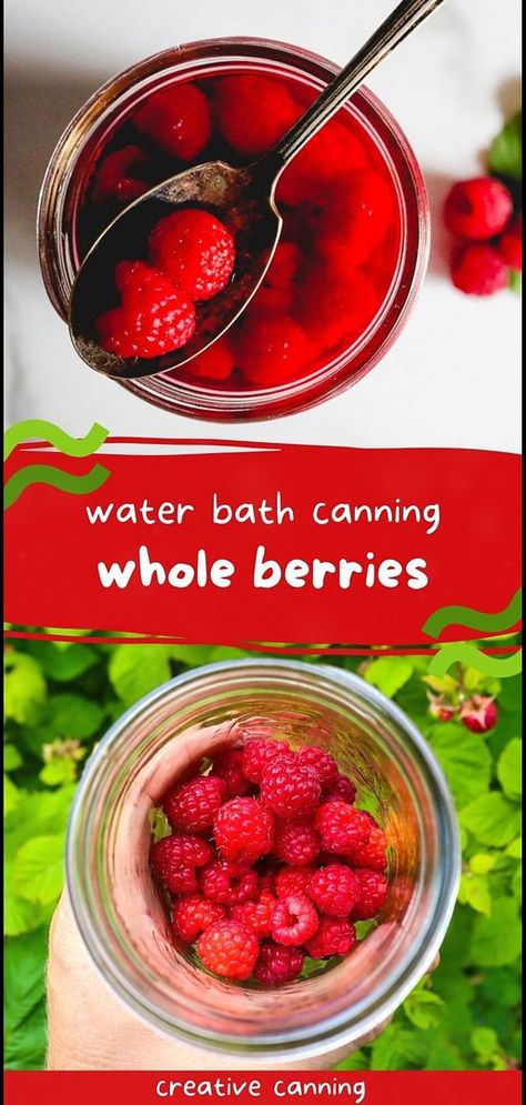 Canning whole berries is a fantastic method to preserve the full flavor and texture of summer fruits. Ideal for adding to homemade desserts or enjoying directly from the jar, canned blueberries, blackberries, mulberries, and strawberries keep the taste of summer alive all year. Find more canning fruit recipes, preserving fruit in jars, fruit preserves, and Preserving Fruit in Jars at creativecanning.com. Fruit In Jars, Canning Fruit Recipes, Canning Apple Pie Filling, Preserving Fruit, Raspberry Pie Filling, Canning Jam Recipes, Freezing Fruit, Canned Strawberries, Canned Blueberries