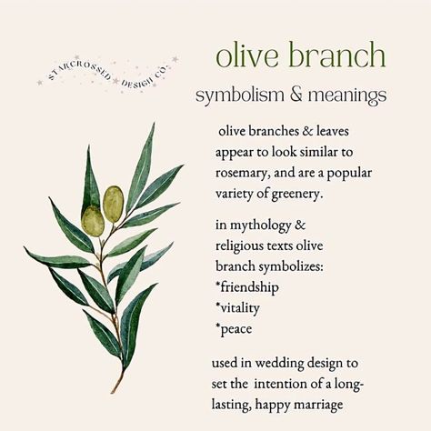 Olive Branch Symbolism, Flowers Symbolism, Pressed Flowers Diy, Sugar Flowers Tutorial, Flower Language, Delphinium Flowers, Wedding Floral Design, The Language Of Flowers, Flower Notebook