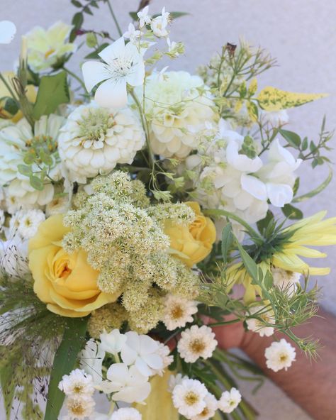 Congratulations Becci and Shawn! I loved the warm summery yellows in Becci’s bouquet with fresh greens and whites 💛 The first of two lovely weddings for me this weekend - both with elements of DIY flowers and families pitching in to make the celebrations extra special 💕 #bridalbouquet #summerweddingflowers #somersetwedding #seasonalflowers #southwestweddings Green And Yellow Wedding Flowers, Yellow And Green Wedding Theme, Yellow And White Flowers, Yellow And White Flower Arrangements, Light Yellow Wedding Bouquet, Green And Yellow Wedding, Pale Yellow Wedding Flowers, White Bouquet With Yellow Accents, White And Pale Yellow Bouquet