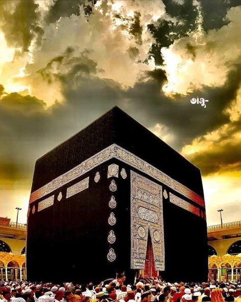 Makka Madina, Islamic Calligraphy Quran, Khana Kaba, Medina Mosque, Imam Hussain Wallpapers, Masjid Al Haram, Tiger Pictures, I Love You Pictures, Mecca Wallpaper