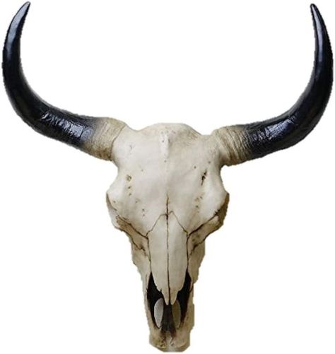 Skull Studies, Ox Skull, Bull Skull Tattoo, Antelope Skull, The Juniper Tree, Clay Bust, Animal Head Wall Decor, Gothic Western, Cow Skull Art