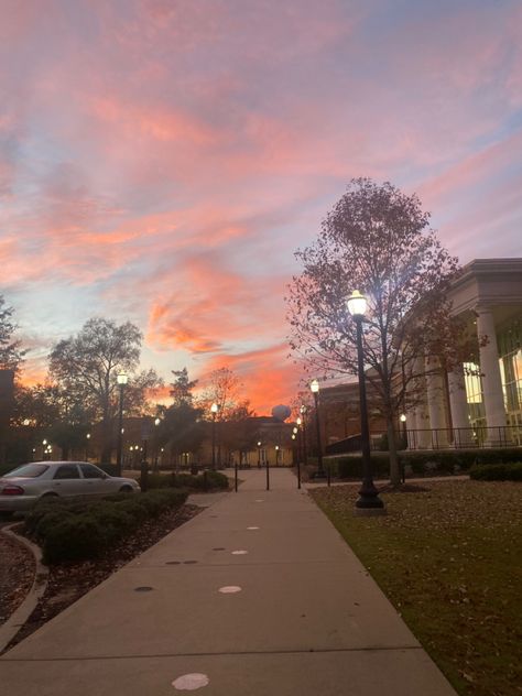 Campus Life Aesthetic, University Of Alabama Aesthetic, Alabama Football Game, Campus Aesthetic, Tuscaloosa Alabama, Alabama Crimson Tide Football, Crimson Tide Football, The University Of Alabama, Delta Gamma