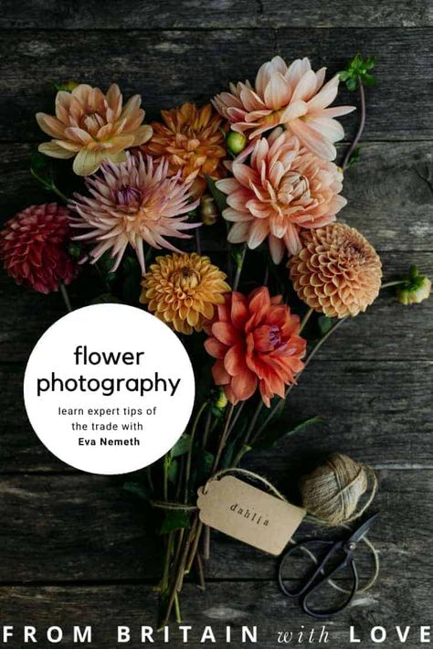 Flower photography tips and ideas by Eva Nemeth - From Britain with Love Eva Nemeth, Terrarium Stand, Bird Plant, Field Work, Bulb Vase, Flat Lay Photos, Plant Terrarium, British Flowers, Creative Flower Arrangements