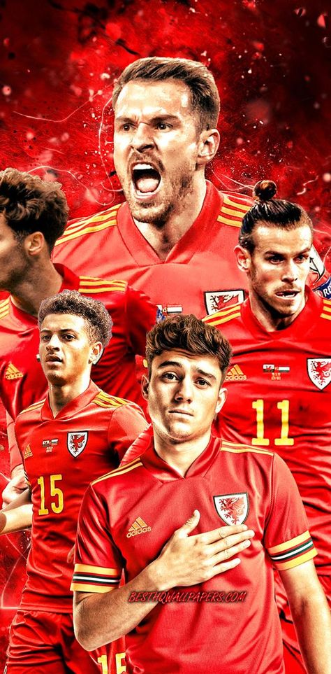 Wales Football wallpaper by ElnazTajaddod - 68be - Free on ZEDGE™ Football Wallpaper World Cup, Germany World Cup Wallpaper, Ea Sports Fifa Wallpaper, Wales Football Wallpaper, Portugal Football Team Wallpaper, Wales Football Team, Wales National Football Team, Wales Football, Welsh Football