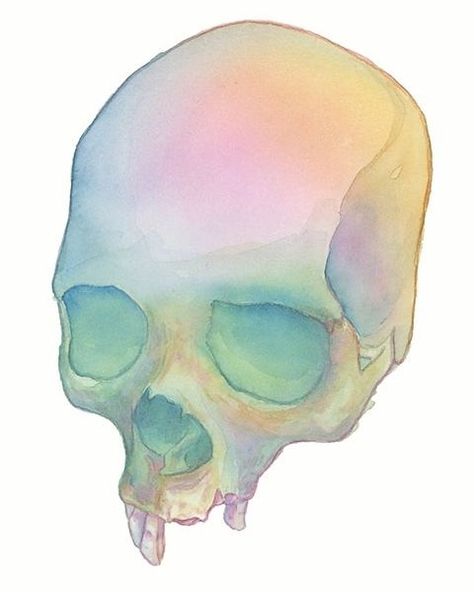 Pastel Skull, Watercolor Pencil Art, Tenacious D, Simple Skull, Diy Watercolor Painting, Skull Painting, Skull Drawing, Human Skull, Day Challenge