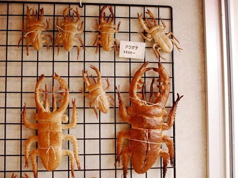 Crusty Bugs Bug Shaped Food, Bug Food, Japanese Bakery, Bug Party, Bread Shaping, Bread Art, Cute Baking, Weird Food, Beetles