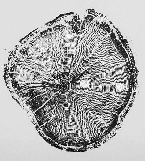 "The period of greatest gain in knowledge and experience is the most difficult period in one's life." ~ Dalai Lama Woodcuts Prints, Tree Rings, 수채화 그림, Grafic Design, Tree Tattoo, Monoprint, Tree Print, Tree Art, Pine Tree