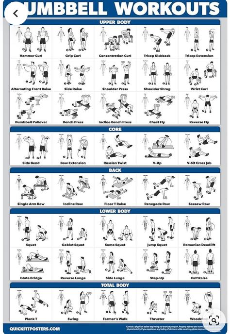 Thigh Fat Exercises, At Home Gym Ideas, Gym Weights Workout, Gym Beginner, Dumbbell Workout Routine, Weekly Gym Workouts, Exercise Poster, Beginner Gym, Gym Back Workout