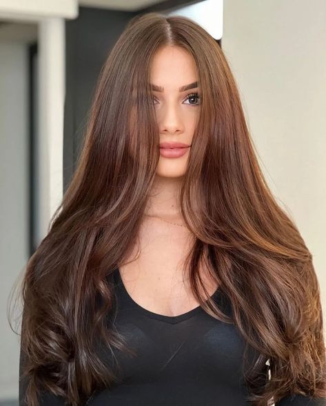 20 Head Turning Haircuts and Hairstyles for Long Thick Hair Asthetic Haircut Girl Long Hair, Chestnut Brown With Highlights, Soft Chestnut Brown Hair, Cut Hairstyles For Long Hair, Hairstyles For Long Thick Hair, Chestnut Brown Hair Color, Hazelnut Hair, Brown Hair Colour, Pretty Brown Hair